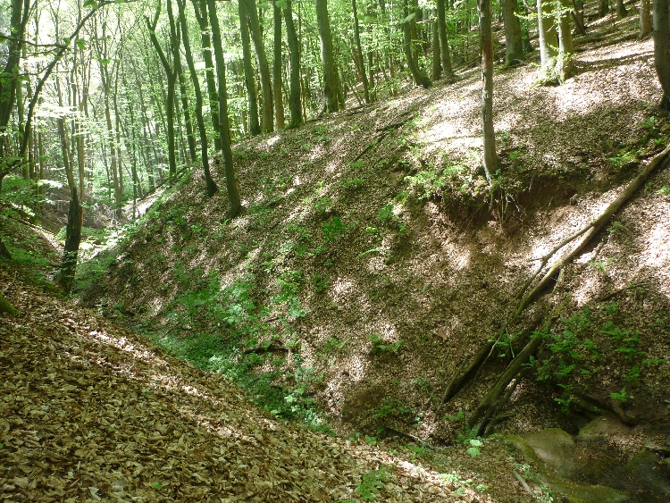 Aktionstage